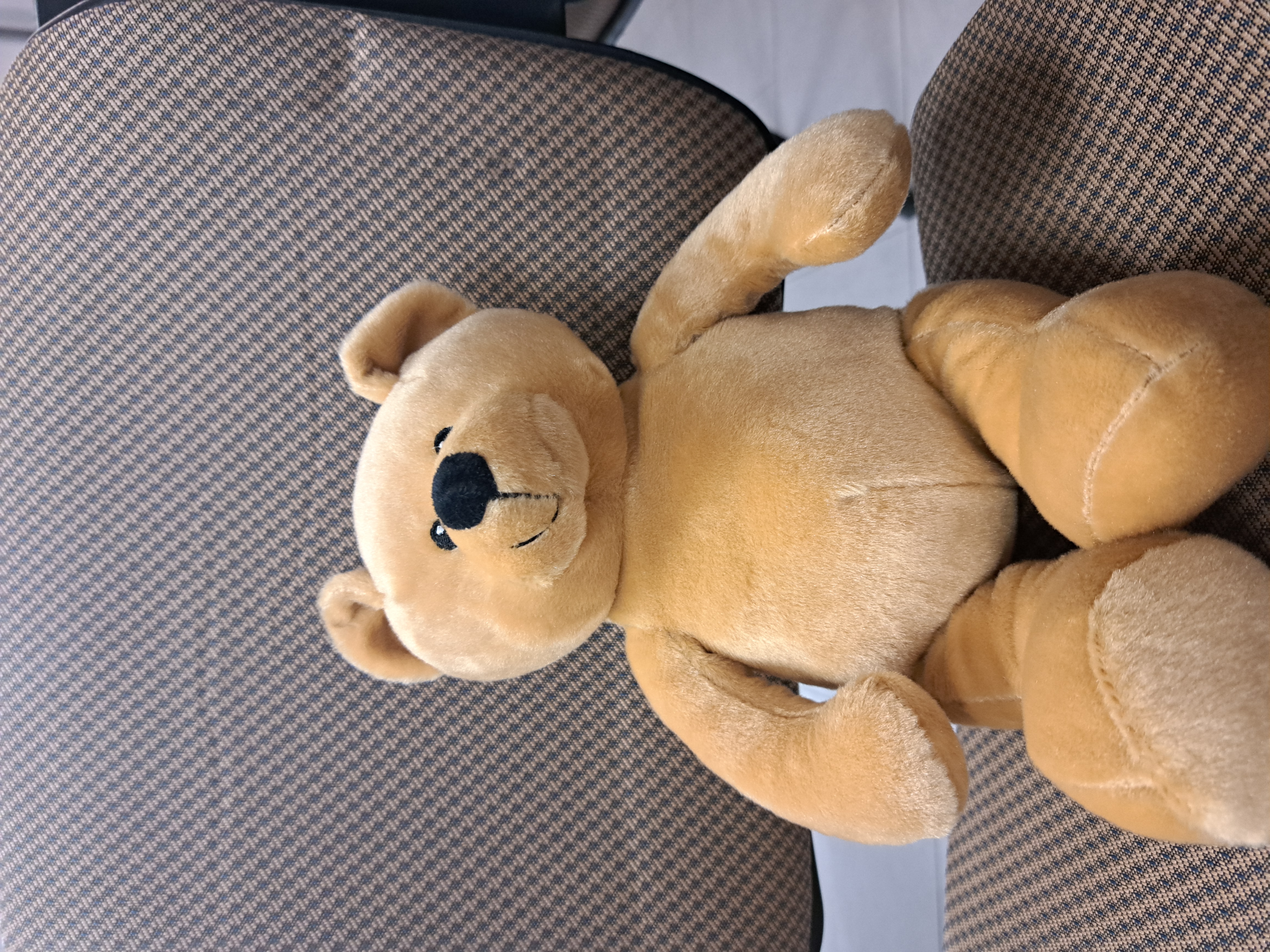 toutou moyen ours beige